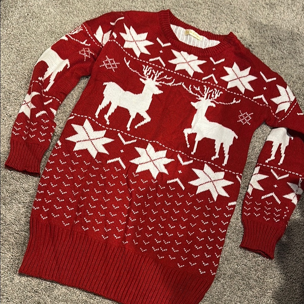Women’s Christmas sweater dress